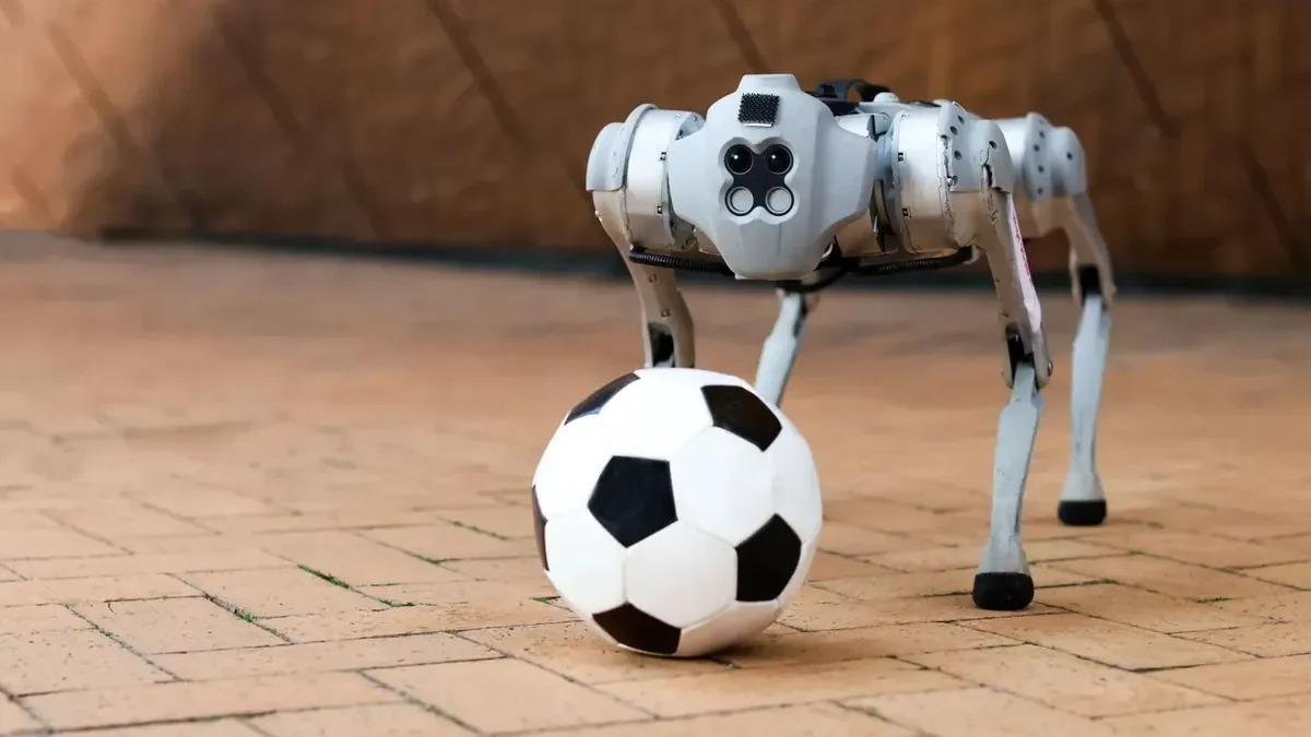 Cão-robô joga futebol na areia, neve e até na lama